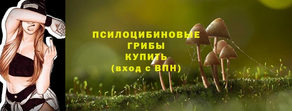 соль ск Дмитриев