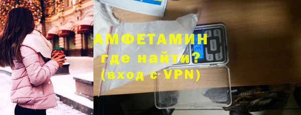 соль ск Дмитриев