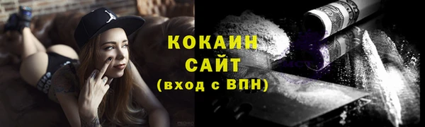 соль ск Дмитриев