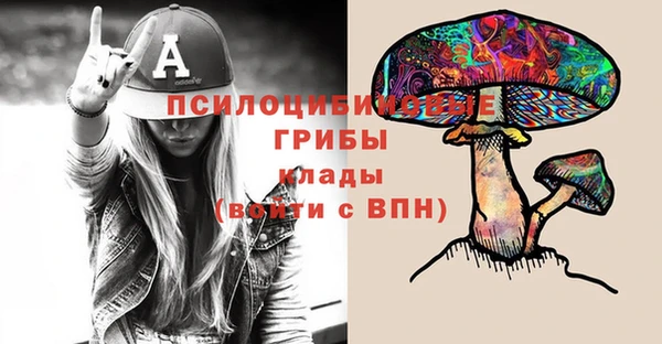 твердый Гусь-Хрустальный