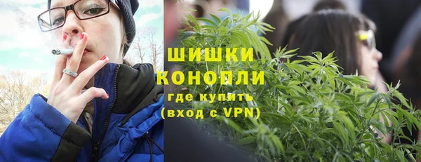 соль ск Дмитриев